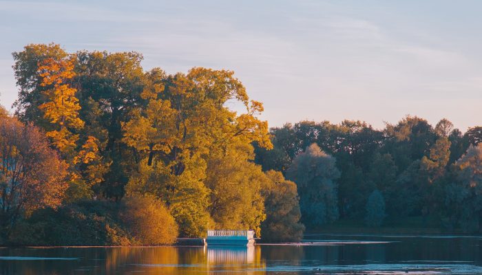 lmx_spbtseasons2026_4